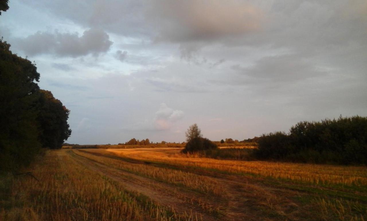Dziki Brzeg Jezioraka Villa Zalewo  ภายนอก รูปภาพ