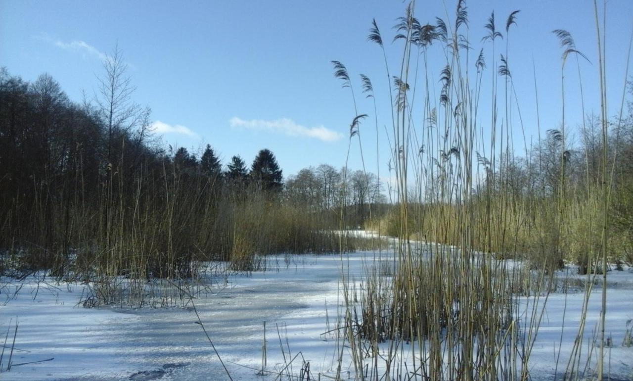 Dziki Brzeg Jezioraka Villa Zalewo  ภายนอก รูปภาพ